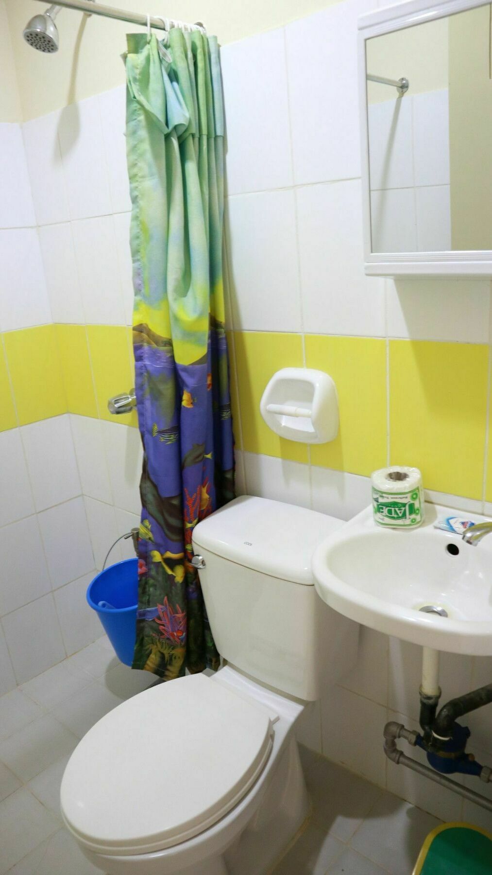 C Tower Studio Apartments Puerto Princesa Exteriér fotografie